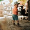 planckendael kinderboerderij