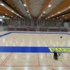 basket willebroek.