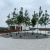 Zomerbar Vrijbroekpark Mechelen