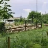 opvang schapen brand Geel 