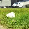 Zwerfvuil Industrieweg Grobbendonk