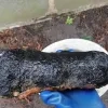 Obus uit Dessel tot ontploffing gebracht in Mol