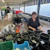 Heikermis Berlaar-Heikant kermis mosselen