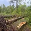 Feryn schade stormweer Mechelen Leest 