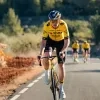 Wout van Aert 2024 Visma Lease a Bike