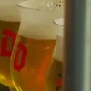 Duvel glas