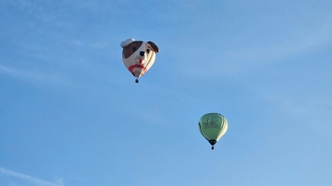 luchtballonnen boven GMM