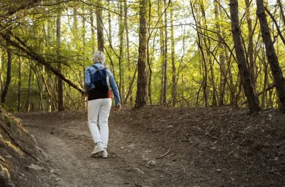 Wandelen in het bos